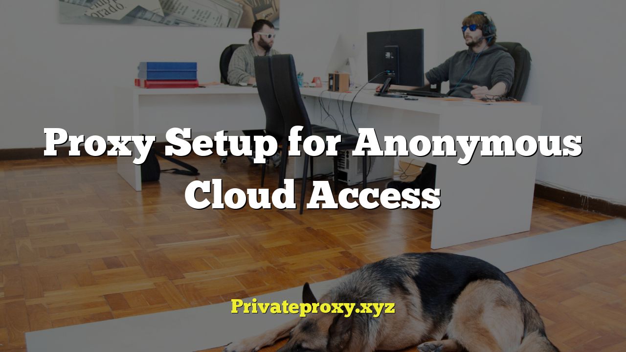 Proxy Setup for Anonymous Cloud Access