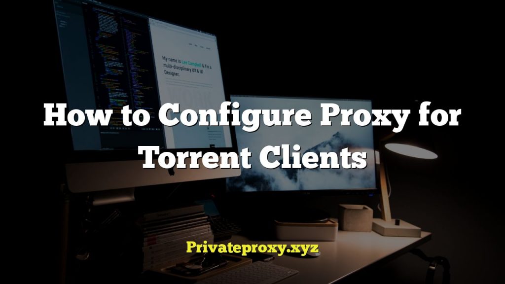 How to Configure Proxy for Torrent Clients