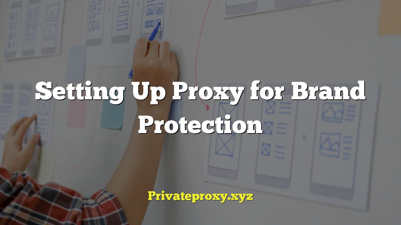 Setting Up Proxy for Brand Protection
