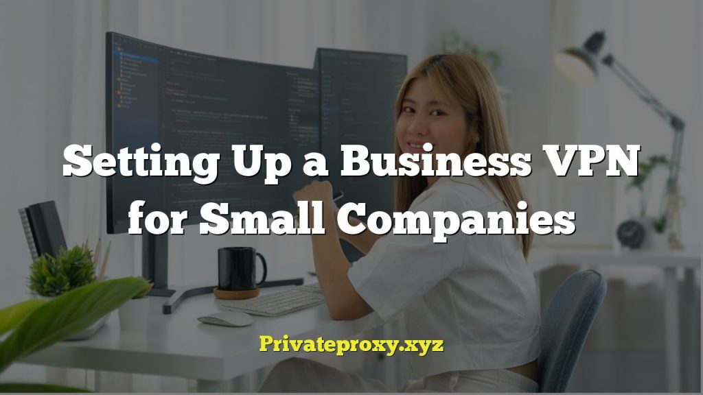 Setting Up a Business VPN for Small Companies